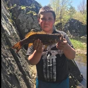 Meet your Posher, Tyler